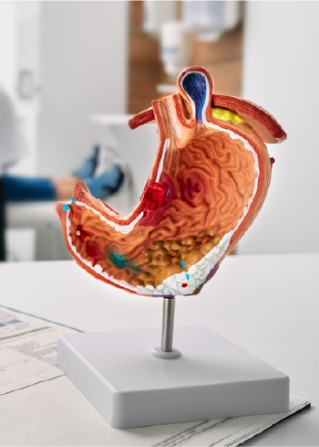 Image Gastroenterology