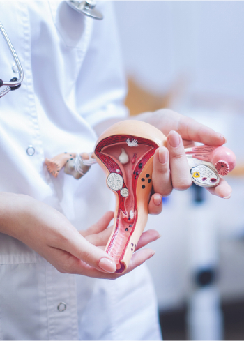 Image Obstetrics and gynecology