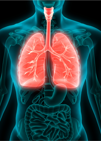 Image Pulmonary Medicine