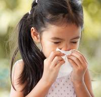 Immunotherapy in nasal allergies. What is it? 