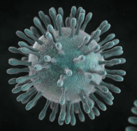 कोरोना वायरस बनी महामारी, जानें क्या होती है महामारी ?