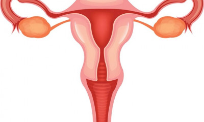 Treatment options for Vulvovaginitis Candidiasis