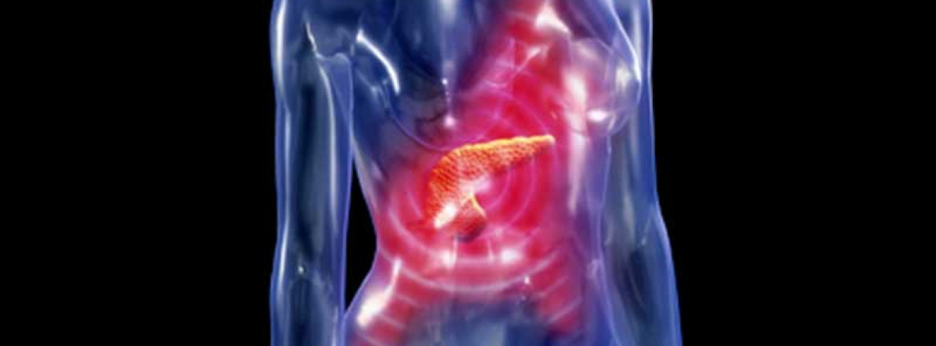 DPP4 Inhibitors Beyond Simple GLP1 Effects CME Learning Center CME