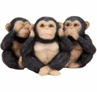 All about 3 Monkeys & Spiritual Health?