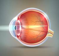 Common Eye Conditions and Diseases
