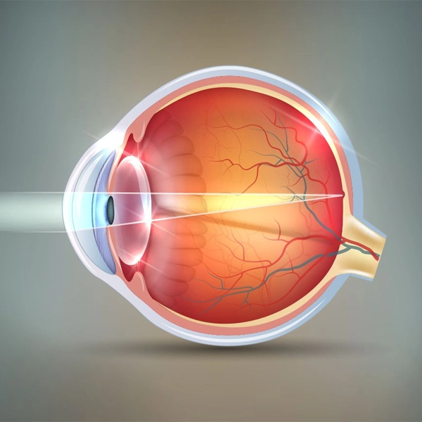 Common Eye Conditions and Diseases