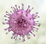 WHO Declares The Outbreak Of The Coronavirus As A Pandemic
