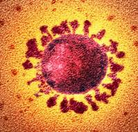 Covid Under Heading-Covid-19 and Vaccines