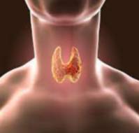 Diabetes and Thyroid Disease