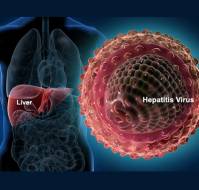Viral Hepatitis - The Indian Scenario