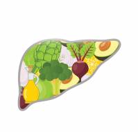 Managing a Healthy and Functional Liver