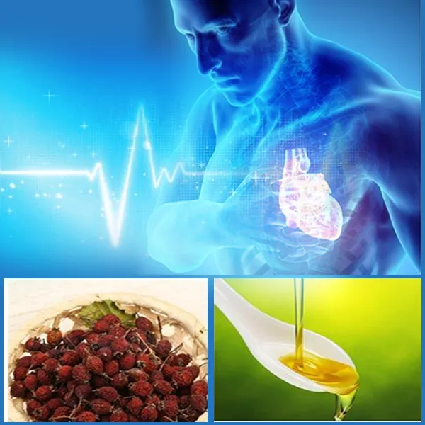 Herbs that slow down your heartbeat?