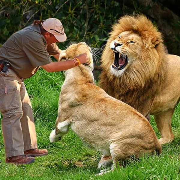 How wildlife zoonoses should be contained, keeping under consideration human-animal-wildlife....?
