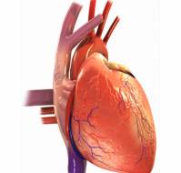 In what circumstances does a patient require cardiac transplant?