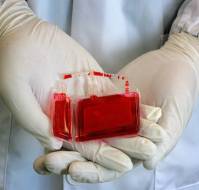 Is there any rationale for cord blood storage?