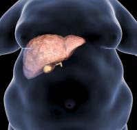 Key Findings in Liver Diseases for Practitioners