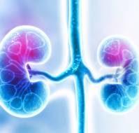 Kidney Transplant: All You Need To Know