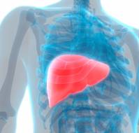 Pathophysiology and Diagnosis of Liver Diseases in the Geriatric Population