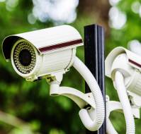 What is the principle surveillance?