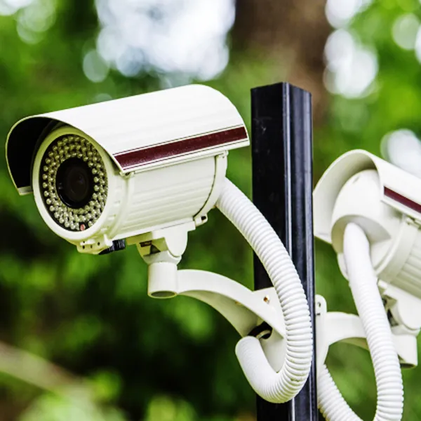 What is the principle surveillance?