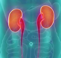 What should we do if a patient has nephropathy?