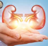 What is the difference between mild & moderate renal disease?