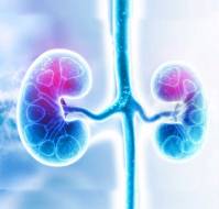 What are the causes of acute kidney injury?