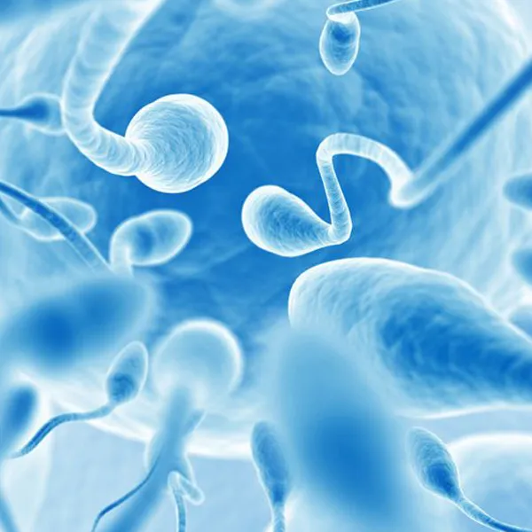 What are the causes of male infertility?