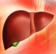 Liver Health in Menarche & Effect of Hormones