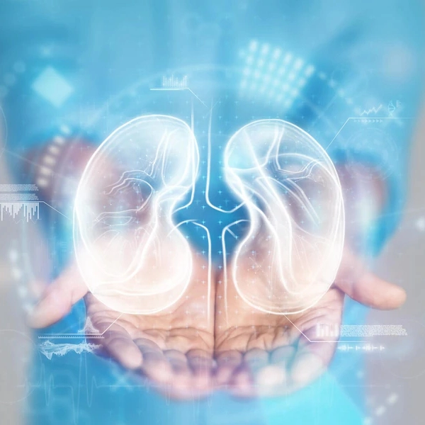 किडनी ट्रांसप्लांट क्या है? | Kidney Transplant in Hindi