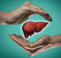 Metabolic Syndrome and Chronic Liver Disease