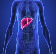 Prevalence and Risk Factors for Alcoholic Liver Diseases