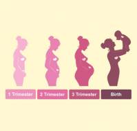 The First Trimester Of Pregnancy: What To Expect, Symptoms & Baby Development