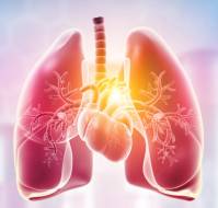 Pulmonary Medicine: Basics