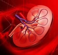 What is the role of erythropoietin in patients with CKD?