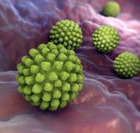 रोटावायरस क्या है? कारण, लक्षण और इलाज |  Rotavirus in Hindi