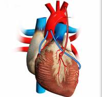How many times can we undergo a bypass surgery?