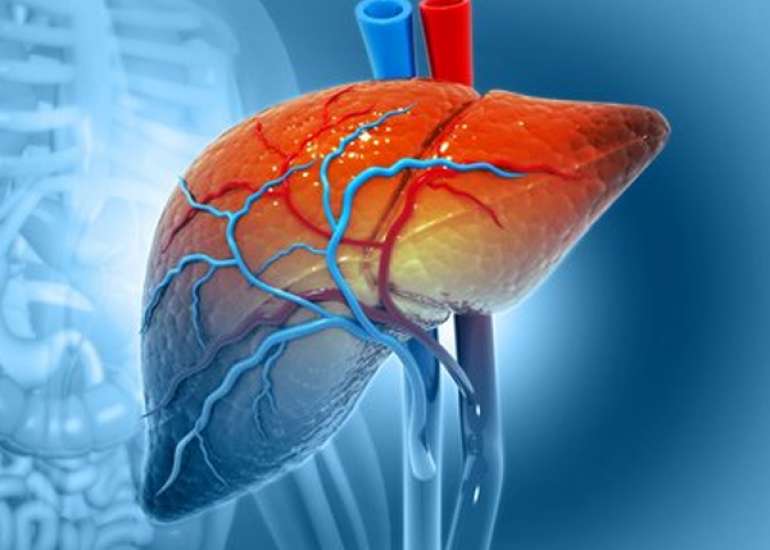 लीवर स्वस्थ रखने के 15 खास उपाय