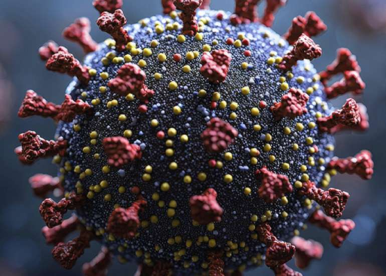 Human Metapneumovirus (HMPV): What Everyone Should Know