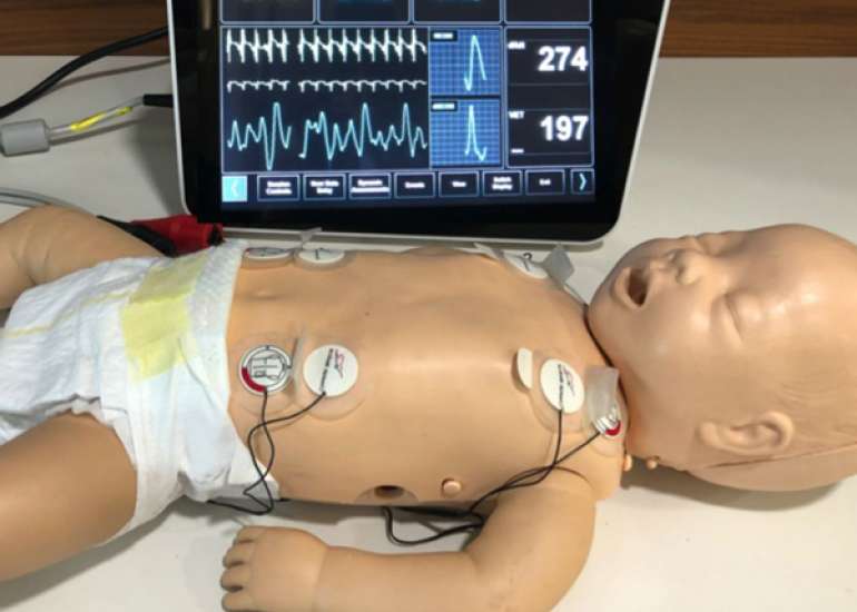 Non-Invasive Cardiac Output Monitoring in Neonatology Using Electrical Biosensing Technology 