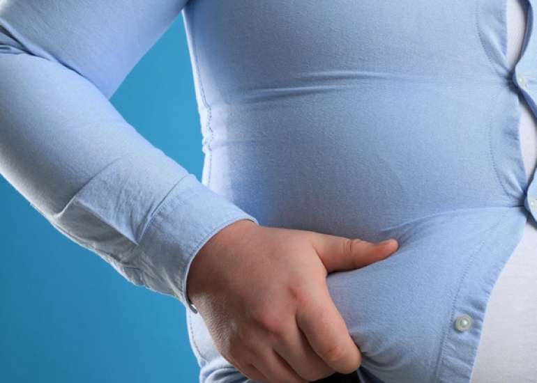 Role of Extracellular Vesicles in Metabolic Regulation and Obesity-Related Diseases