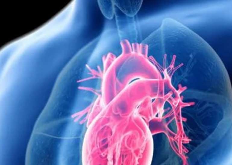 Driven Management of Hypertension according to American College of Cardiology (ACC)/American Heart Association (AHA) 