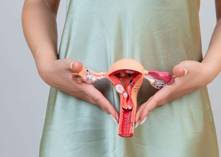 Vulvar Tumors: A Case Study on Benign Angiofibroma