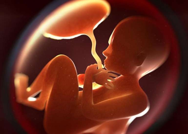 Early Pregnancy PAPP-A Levels Are Superior Predictors of Hypertensive Disorders