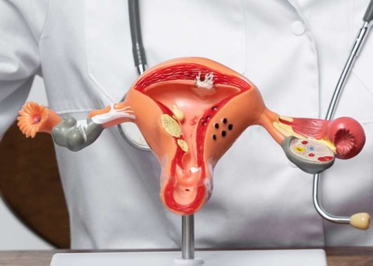 Risk Factors for Primary Pelvic Organ Prolapse and Recurrence: An Updated Systematic Review and Meta-Analysis