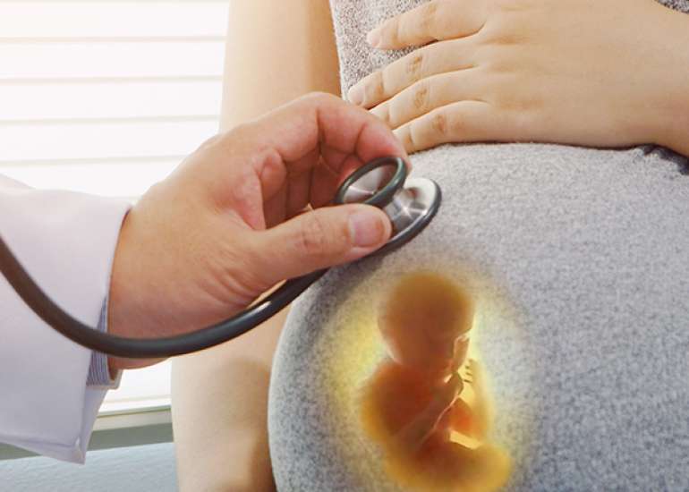 A New Marker for Late Pregnancy Dating: Fetal Kidney Length