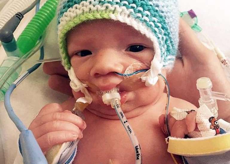 Cobra Bite Mimicking Brain Death in a 2-Year-Old