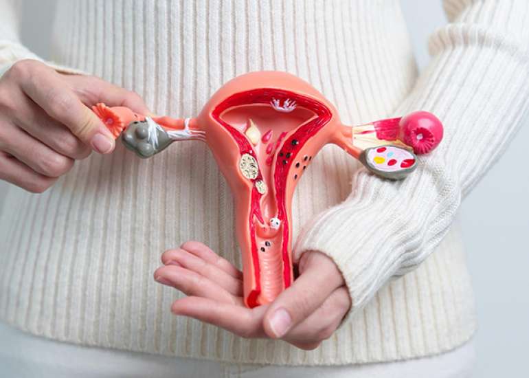 Elinzanetant Outperforms Fezolinetant in Relieving Menopausal Symptoms