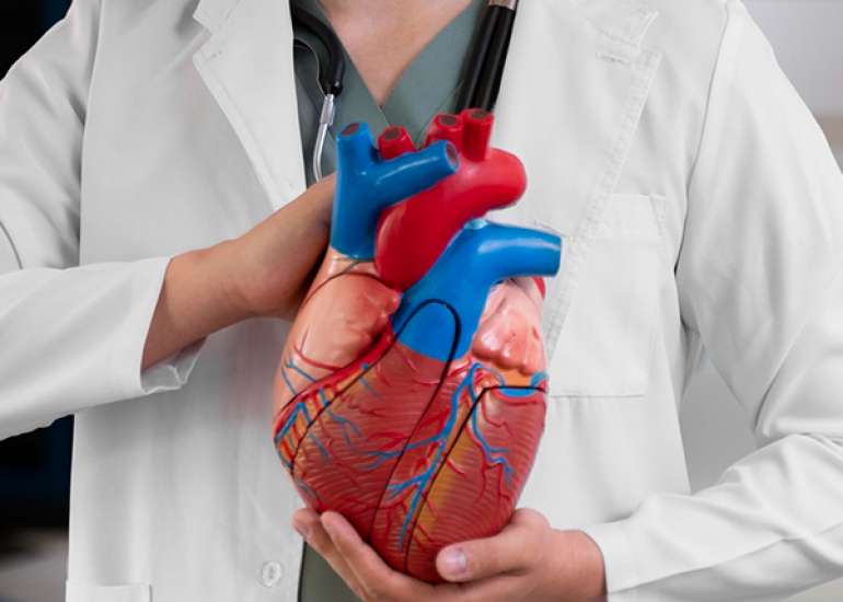 From Adolescence to Adulthood: Predictors of Cardiovascular Events