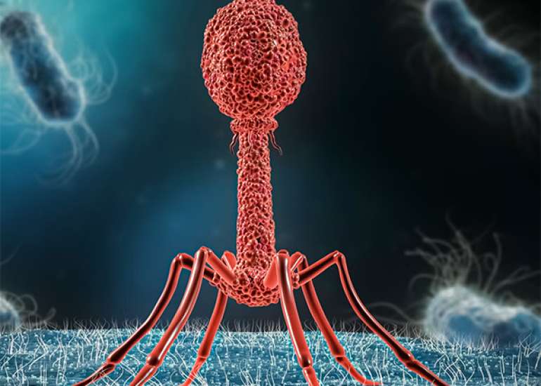 Ancient Virus Offers Clues to Battling Superbugs